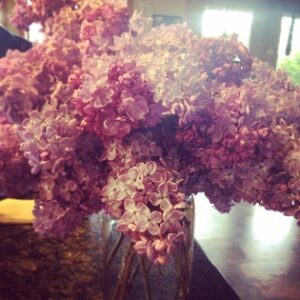 Mother’s Day Lilacs Image